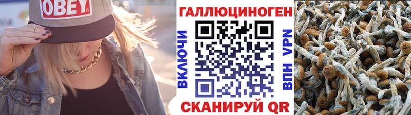 Галлюциногенные грибы GOLDEN TEACHER  Богучар 